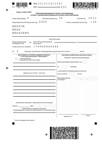 Основные этапы оформления налоговой декларации для ИП